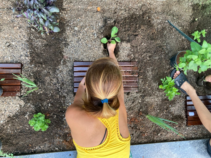 condôminos: ambientes sustentáveis
