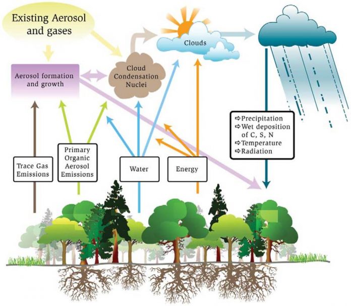 Ecologia