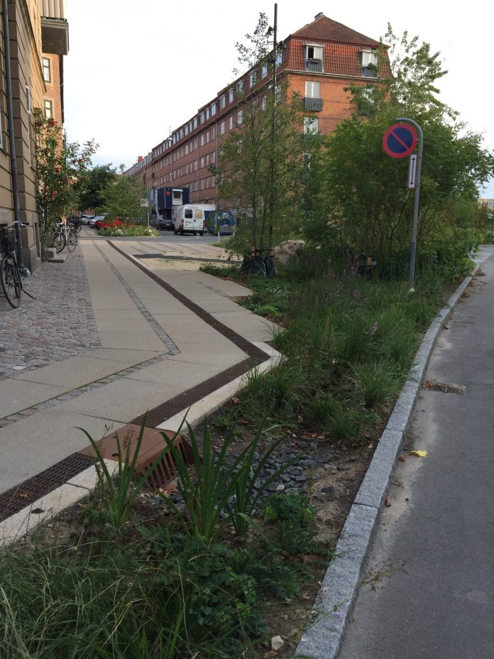 Reincorporado a natureza na cidade: uma solução para múltiplos problemas urbanos