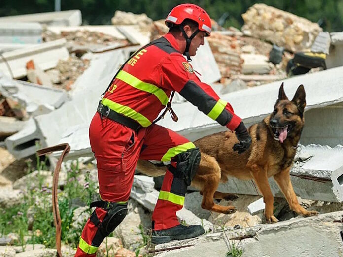 Capacidade de resposta e aplicação de códigos construtivos adequados são essenciais para minimizar perdas em terremotos como o ocorrido na Venezuela