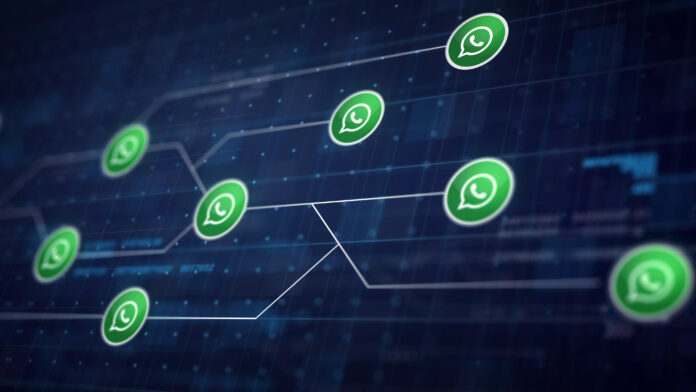WhatsApp com nome de usuário: mais privacidade, novos riscos e a necessidade de fortalecer a cultura da segurança digital
