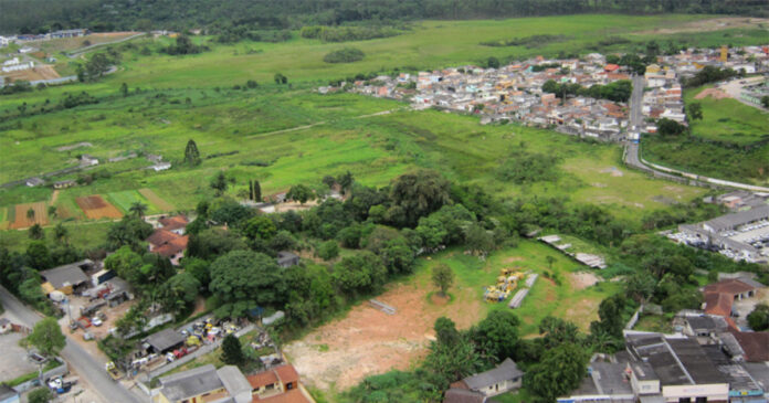 Transição entre cidade e campo, bordas urbanas têm potencial inexplorado para regeneração florestal